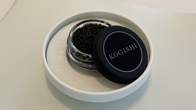 KOGISHI - メイン写真: