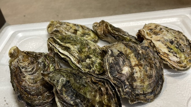 Teppan 豊 - 料理写真:限定品！※気になった方はお問い合わせください