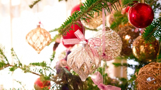 ガーブ モナーク - メイン写真: