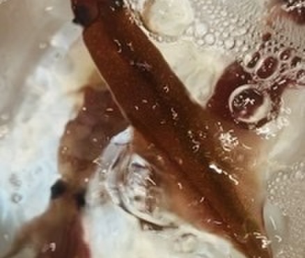 船頭料理 魚庄 - メイン写真: