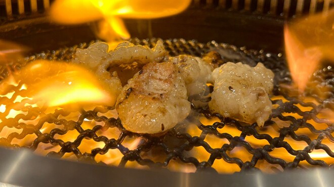 焼肉南幸苑 - メイン写真: