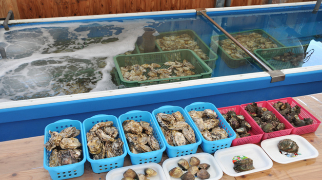 Shouei - 内観写真:魚介類をはじめ、福岡糸島産の食材。出所確かな食材です