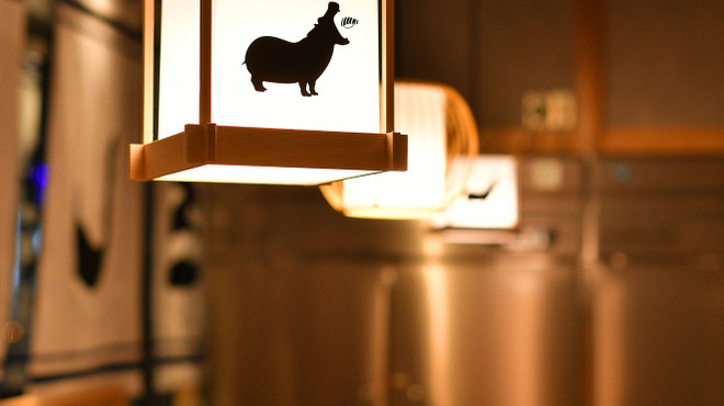 すし酒場 さしす - メイン写真: