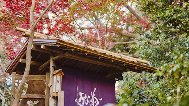 菊水楼 うな菊 ホテル椿山荘東京店 - メイン写真: