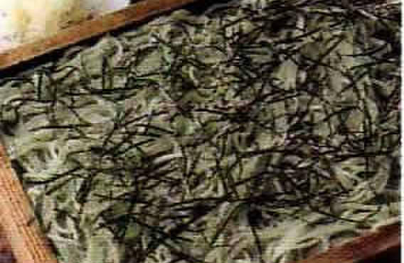 Hegi Soba Kon - 料理写真:布海苔をつなぎにしてへぎ盛で
                    