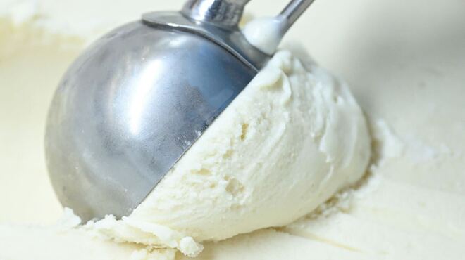 SAKEICE - 料理写真: