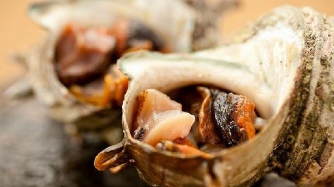 牡蠣・貝料理居酒屋 貝しぐれ - メイン写真: