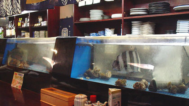 居酒屋 太平記 - 内観写真: