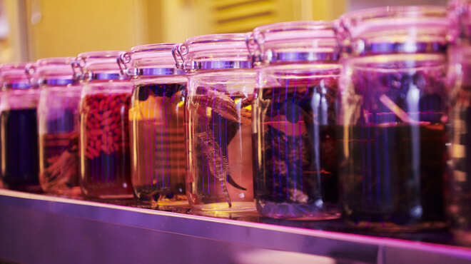 獣肉酒家 米とサーカス - メイン写真: