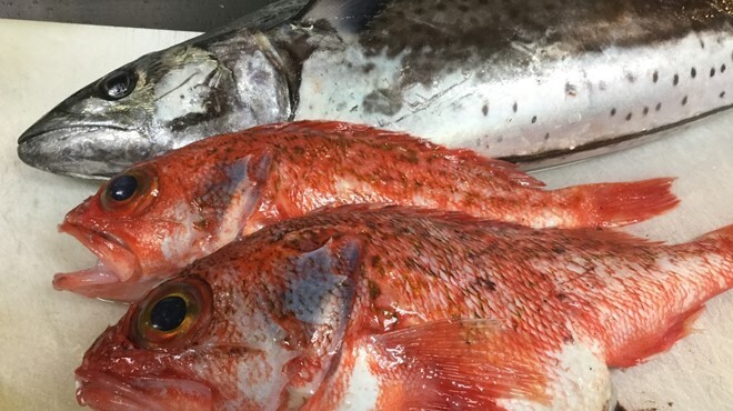 とれとれ海鮮 浜の大将 - メイン写真: