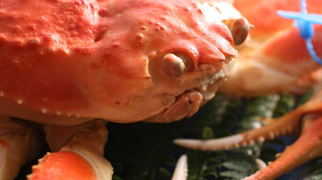 かに道楽 - 料理写真: