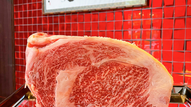 焼肉 徳川苑 - メイン写真: