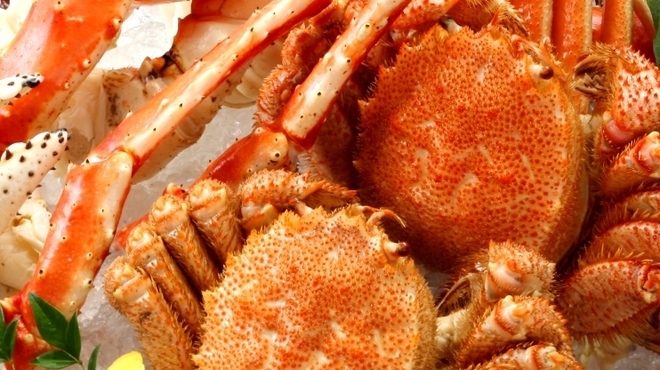 北海道食市場 丸海屋 - メイン写真: