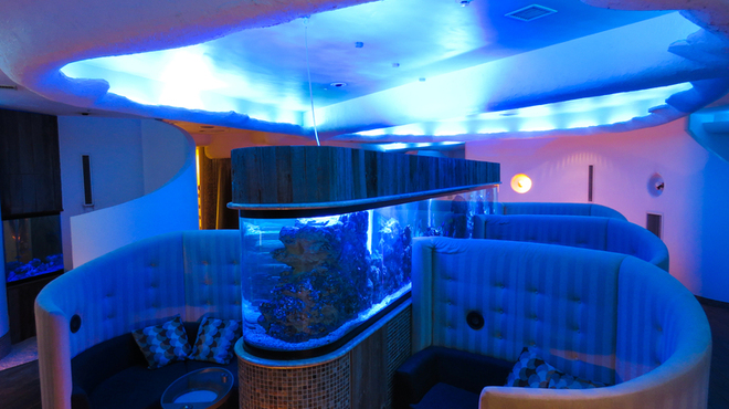 Ryuduki aquarium Dining - メイン写真: