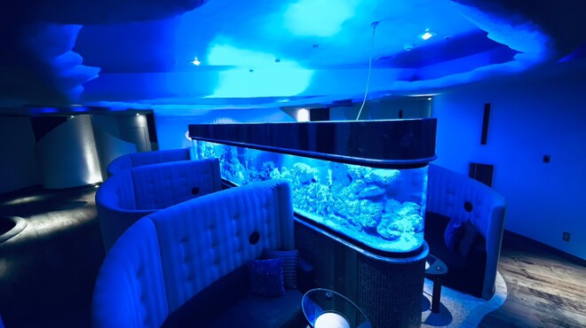 Ryuduki aquarium Dining - メイン写真: