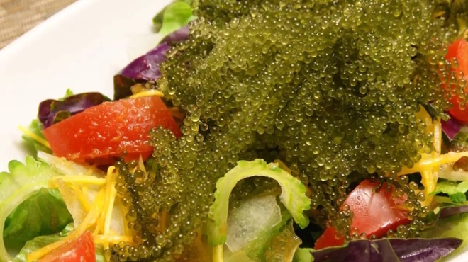 遊食家 ゆがふ - メイン写真: