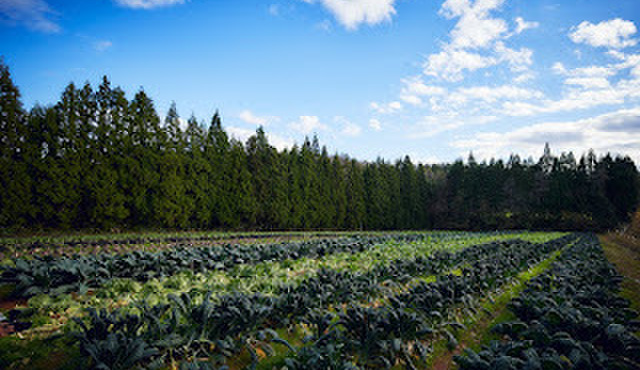 SECRETO - メイン写真: