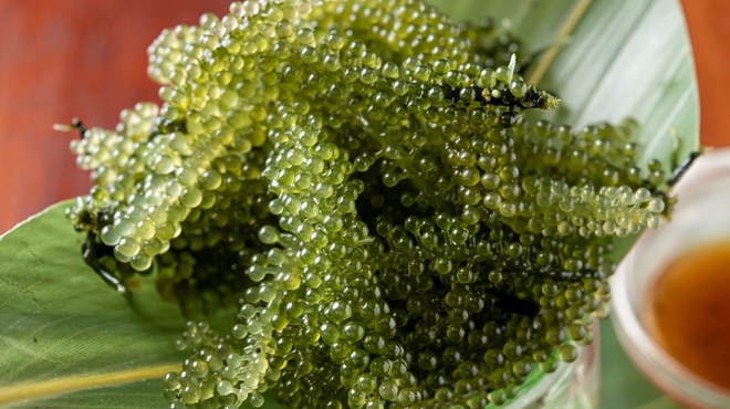 沖縄酒場ハイサイ - メイン写真: