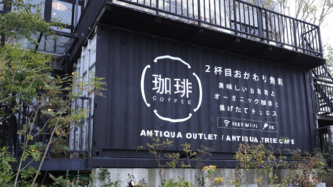 ANTIQUA TREE CAFE - メイン写真: