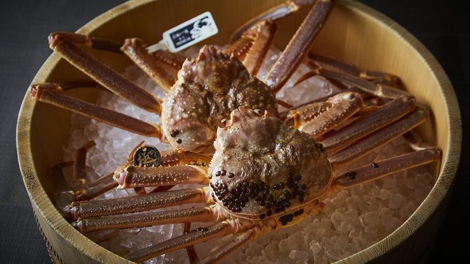 池田紘三 - メイン写真: