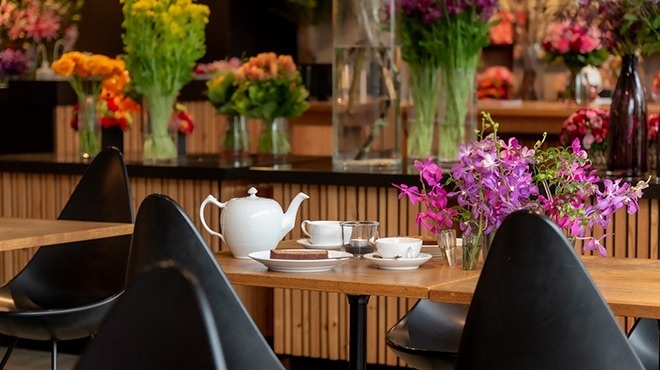 Nicolai Bergmann NOMU - メイン写真: