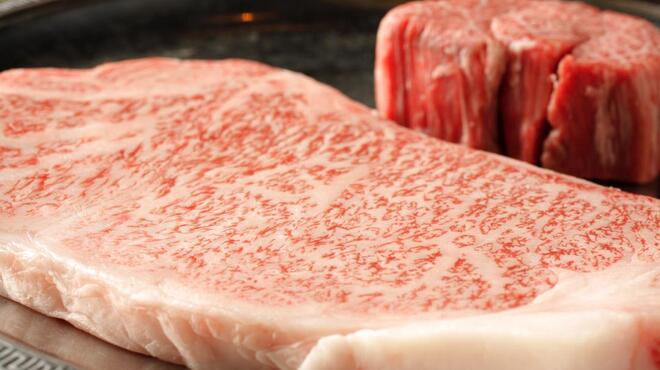 DANTE - 料理写真:厳選した食材を使っております。