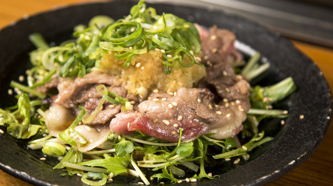 코테쥬우 히카리마치점