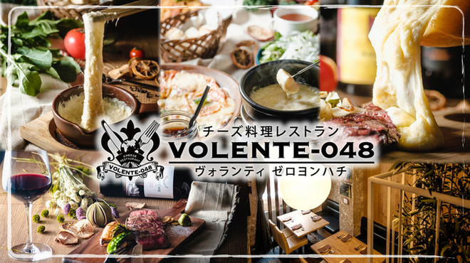 チーズ料理レストラン VOLENTE-048 - メイン写真: