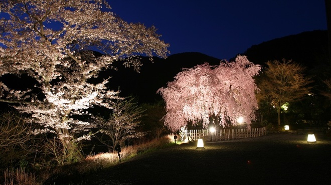 松山閣 松山 - メイン写真: