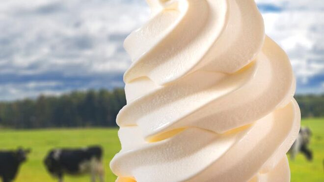 サウスウエスト - メイン写真: