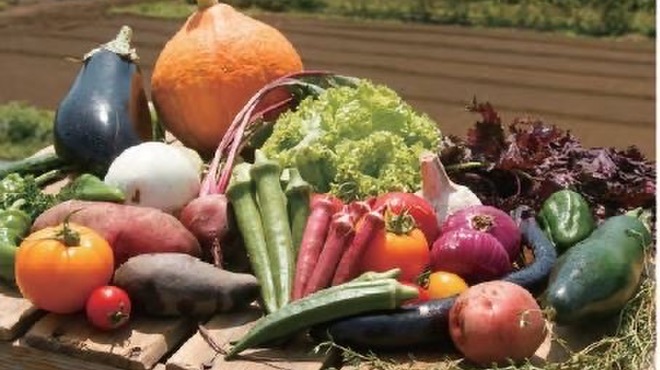 TAVOLA 310 - メイン写真: