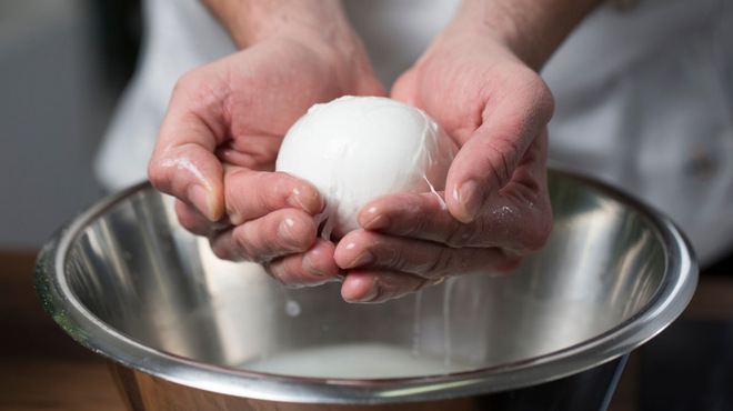 TAVOLA 310 - メイン写真: