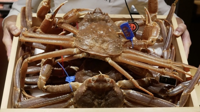 弧柳 - 料理写真: