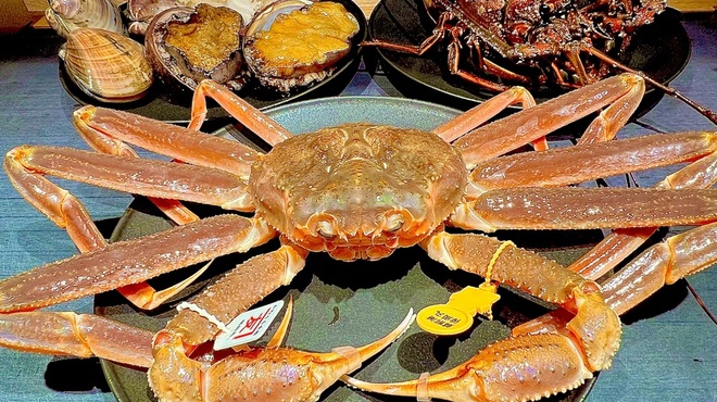 il Giorno - 料理写真:◦福井県産 活越前蟹
              ◦高知県産 活伊勢海老
              ◦青森県産 活蝦夷鮑
              ◦千葉県産 活地蛤