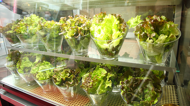 とんちゃん 元祖サムギョプサル - メイン写真: