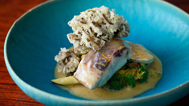 レフ アオキ - メイン写真: