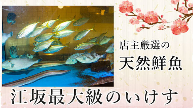 旬魚旬菜 びんびや - メイン写真: