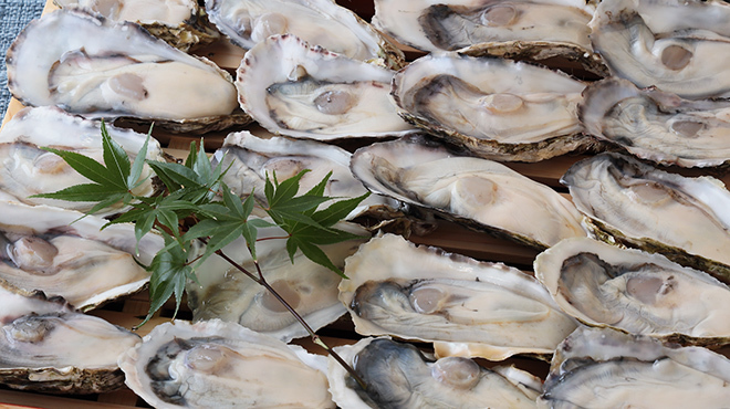 明日のためのしじみばか しじみ出汁おでんと備長焼き - メイン写真: