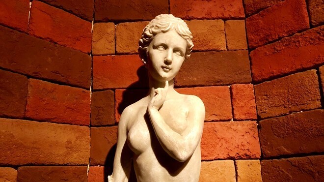 和フレンチバル村塾 屋根裏 別邸 - メイン写真: