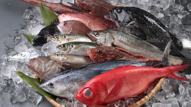 船主 - メイン写真: