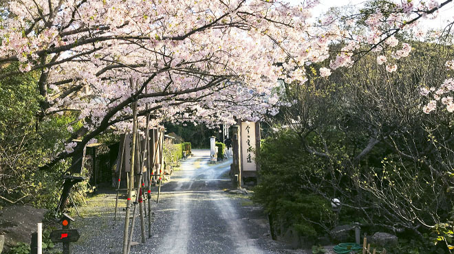 魚庵 千畳敷 - メイン写真: