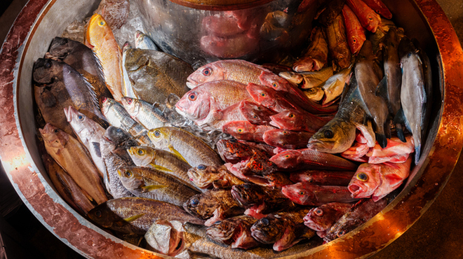 なきざかな - メイン写真: