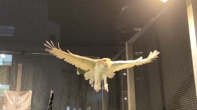 L.VERUS Tokyo