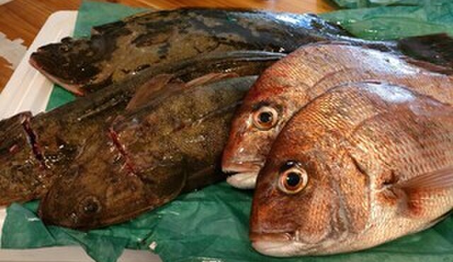 しゃぶしゃぶ すき焼き 宍倉 - メイン写真: