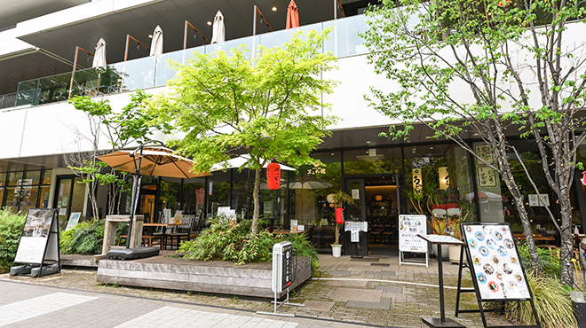 UDON酒場 三三六號 - メイン写真: