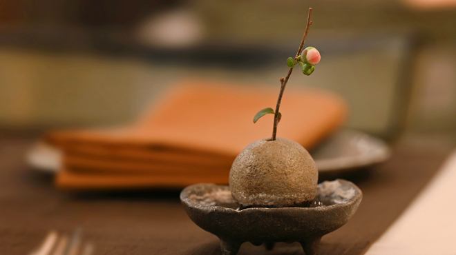 インド料理 想いの木 - メイン写真: