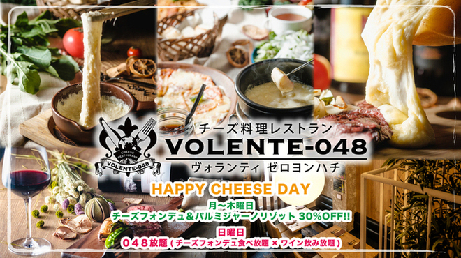 チーズ料理レストラン VOLENTE-048 - メイン写真: