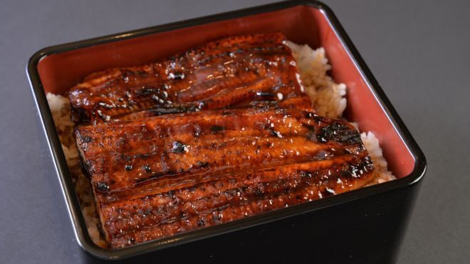 Gempin Kita Ume Da Fugu Unagi Ryouri - メイン写真: