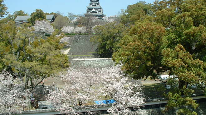 城見櫓 - 外観写真:お店から同時に楽しめる、お城と桜は絶景です