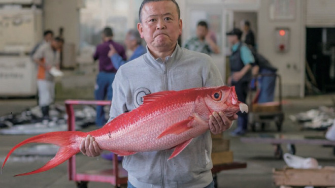 あまみの魚たち - メイン写真: